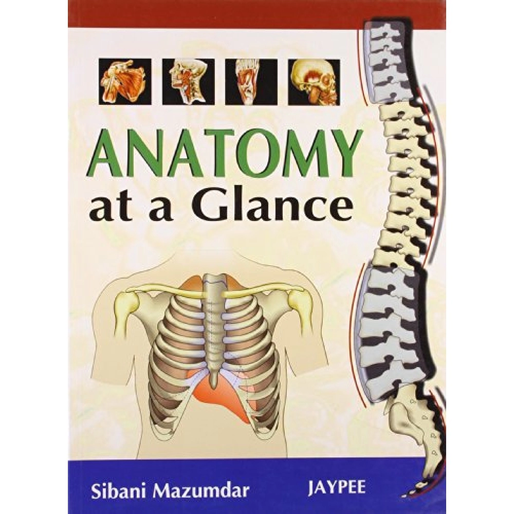 Anatomy At A Glance